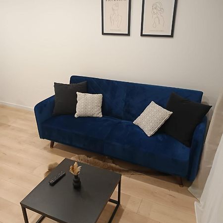 Superbe Appartement ! Сент-Этьен Экстерьер фото