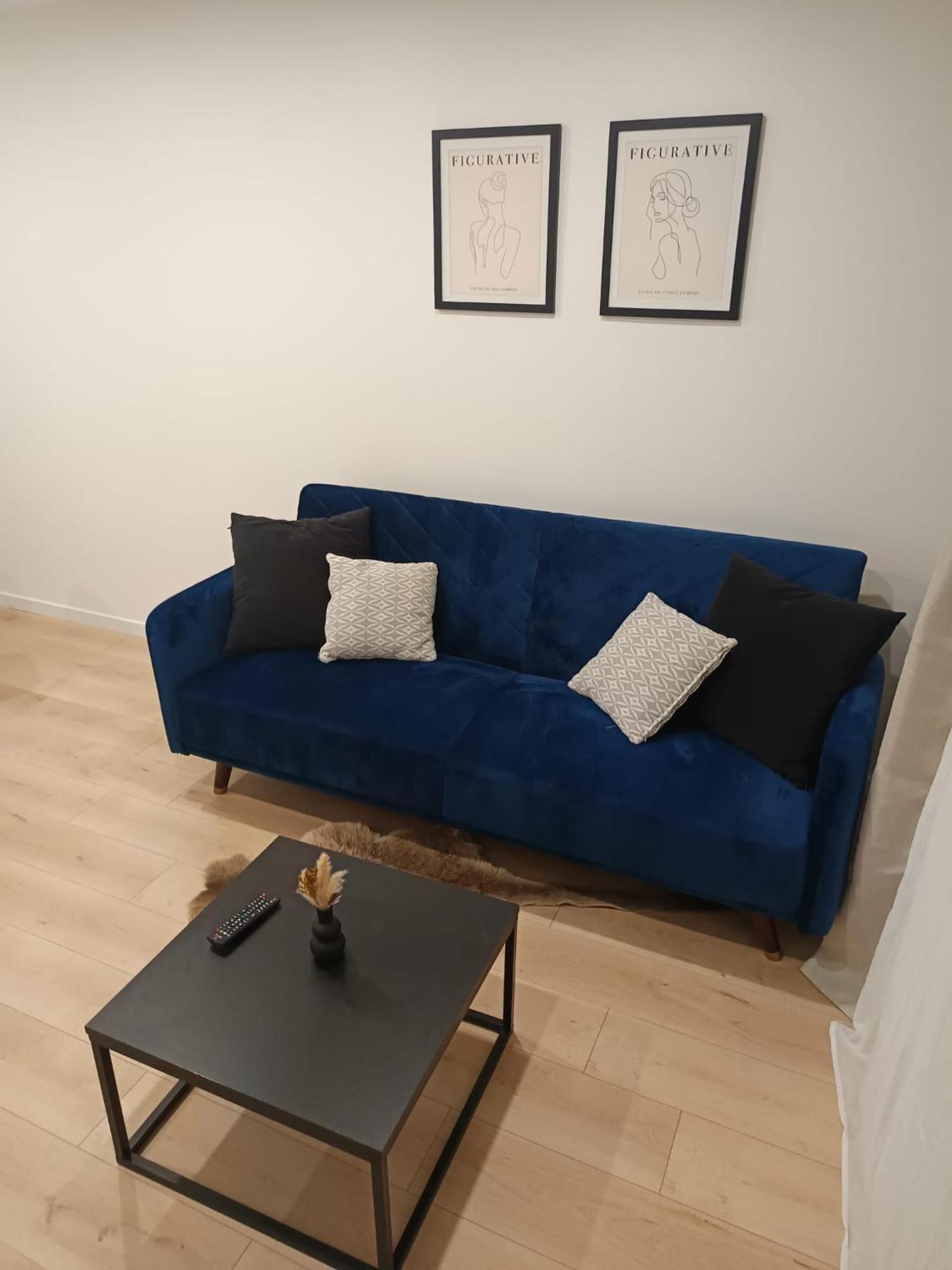 Superbe Appartement ! Сент-Этьен Экстерьер фото